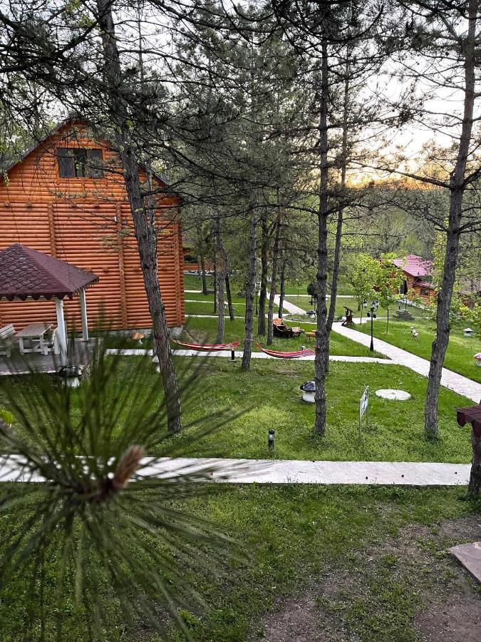 Sky Land Camping & Resort Cricova Exterior photo